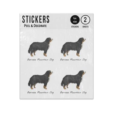 Picture of Bernese Moutain Dog Hand Drawn Illustration Sticker Sheets Twin Pack