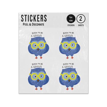 Picture of Born To Be A Genius Smart Owl With Glasses Sticker Sheets Twin Pack
