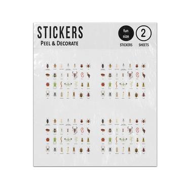 Picture of Bugs Insects Illustration Collection Sticker Sheets Twin Pack
