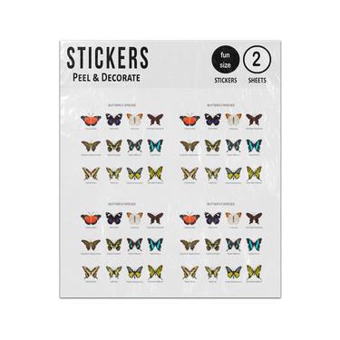 Picture of Butterflies Species Set Collection Sticker Sheets Twin Pack