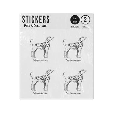 Picture of Dalmatian Dog Hand Drawn Illustration Sticker Sheets Twin Pack