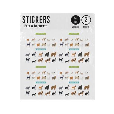 Picture of Dog Breeds Toy Herding Group Collection Sticker Sheets Twin Pack