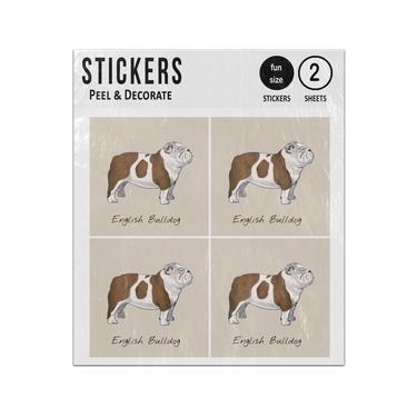 Picture of English Bulldog Hand Drawn Illustration Sticker Sheets Twin Pack