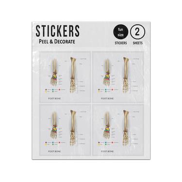 Picture of Foot Bone Anatomy Illustration Sticker Sheets Twin Pack