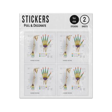 Picture of Hand Bones Illustration Sticker Sheets Twin Pack