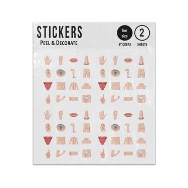 Picture of Human Anatomy Hand Feet Face Torso Legs Arms Sticker Sheets Twin Pack