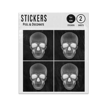 Picture of Human Skull Bright Cavities Sticker Sheets Twin Pack