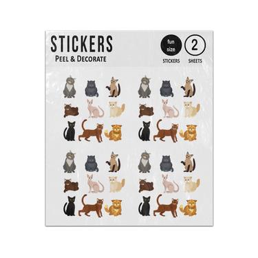 Picture of Illustrations Cat Different Breeds Set Cute Pet Animals Lovely Kitten White Background Style Sticker Sheets Twin Pack