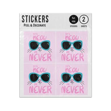 Picture of Its Meow Or Never Kitty Wearning Sunglasses Sticker Sheets Twin Pack