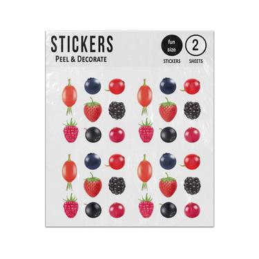Picture of Realistic Berries Fresh Fruits Drawings Set Sticker Sheets Twin Pack
