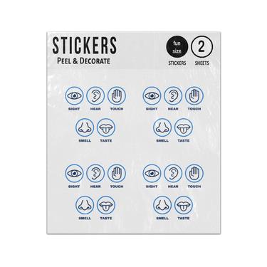Picture of Set Of Five Human Senses Sight Hear Touch Smell Taste Sticker Sheets Twin Pack