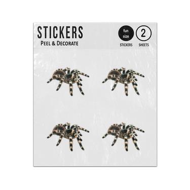 Picture of Tarantula Hairy Pet Spider Sticker Sheets Twin Pack