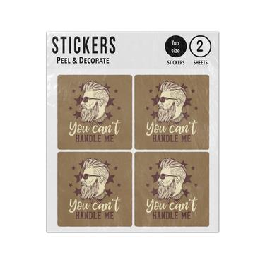 Picture of You Cant Handle Me Hipster Sticker Sheets Twin Pack