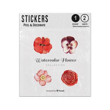 Picture of Four Watercolour Red Poppy Flat Leaf Black Centre Rose Pansy Flower Sticker Sheets Twin Pack
