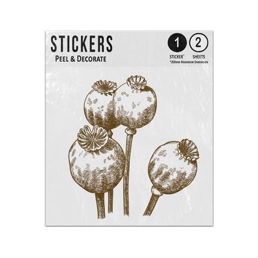 Picture of Monochrome Engraved Grey Four Poppy Seed Heads Sticker Sheets Twin Pack