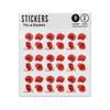 Picture of Poppies Four Red 3D Realistic Seed Head Stem Flowers Black Centre Sticker Sheets Twin Pack