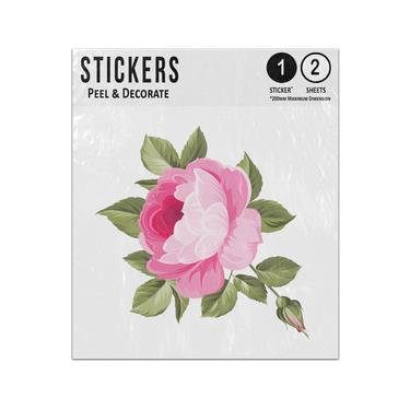 Picture of Single Pink Rose Green Leaves Watercolour Scrapbook Sticker Sheets Twin Pack