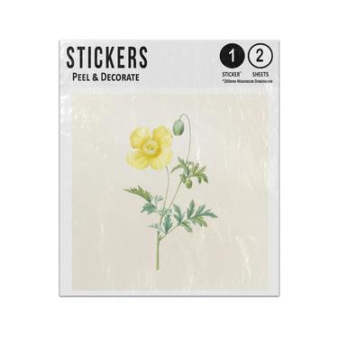 Picture of Yellow Poppy Petals Single Green Stem Leaves Seed Head Vintage Sticker Sheets Twin Pack