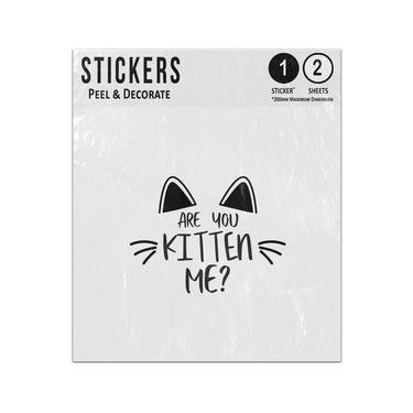 Picture of Are You Kitten Me Quote Cat Face Shape Black White Sticker Sheets Twin Pack