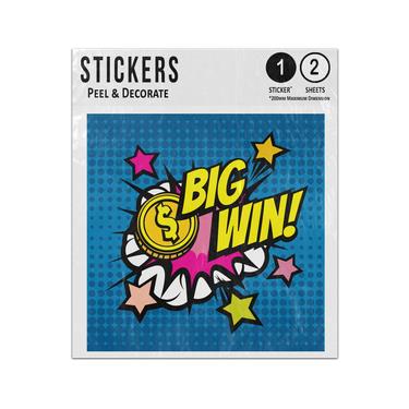 Picture of Big Win Lucky Stars Coins Clouds Vintage Pop Art Comic Style Sticker Sheets Twin Pack