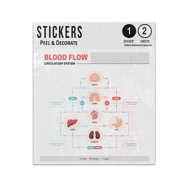 Picture of Human Blood Flow Circulatory System Lungs Heart Liver Gut Kidneys Sticker Sheets Twin Pack