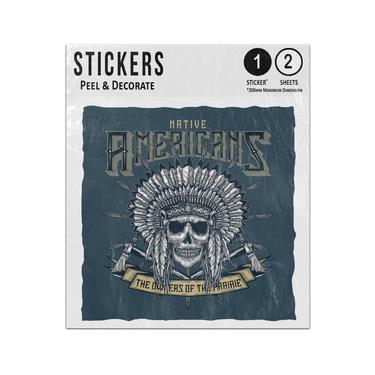 Picture of Native American Indian Chief Skull With Tomahawk Illustration Sticker Sheets Twin Pack