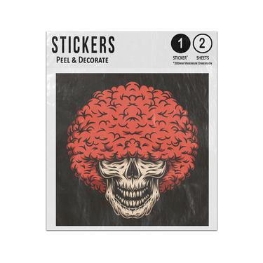 Picture of Skull With Afro Hair Illustration Sticker Sheets Twin Pack