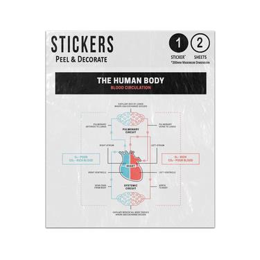 Picture of The Human Body Blood Circulation Pulmonary Systemic Circuit Co2 Sticker Sheets Twin Pack