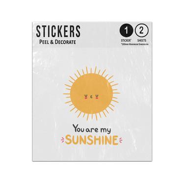 Picture of You Are My Sunshine Happy Orange Sun Smiling Sticker Sheets Twin Pack