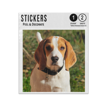 Picture of Beagle Sticker Sheets Twin Pack