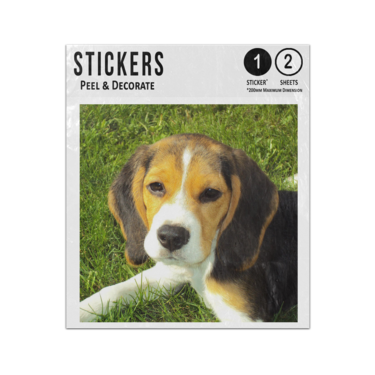 Picture of Beagle Puppy Sticker Sheets Twin Pack