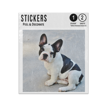 Picture of Black And White French Bulldog Sticker Sheets Twin Pack