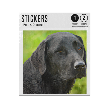 Picture of Black Labrador Sticker Sheets Twin Pack