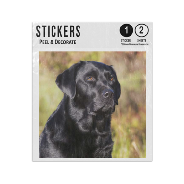 Picture of Black Labrador Retriever Sticker Sheets Twin Pack