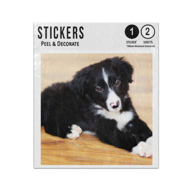 Picture of Border Collie Puppy Sticker Sheets Twin Pack