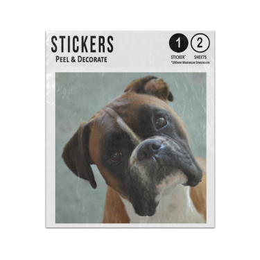 Picture of Boxer Dog Sticker Sheets Twin Pack