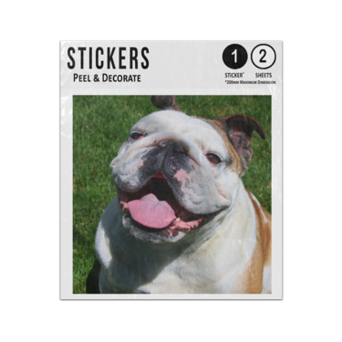 Picture of Bulldog Sticker Sheets Twin Pack