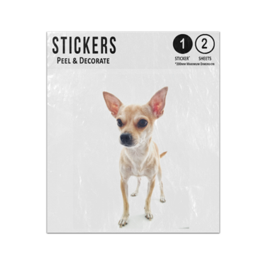Picture of Chihuahua Dog Sticker Sheets Twin Pack