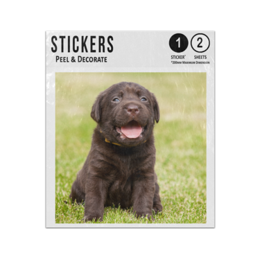 Picture of Chocolate Brown Labrador Puppy Sticker Sheets Twin Pack