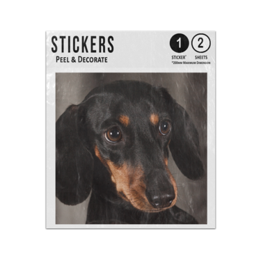 Picture of Dachshund Sticker Sheets Twin Pack