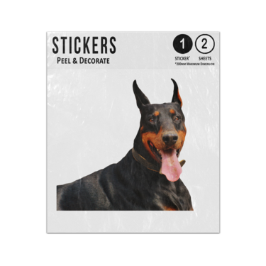 Picture of Doberman 2810187 Sticker Sheets Twin Pack