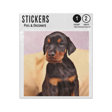 Picture of Doberman Puppy Sticker Sheets Twin Pack