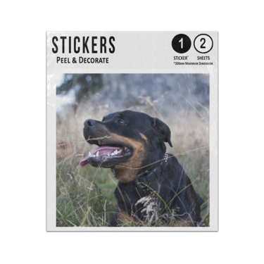Picture of Female Rottie Rottweiler Sticker Sheets Twin Pack