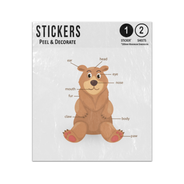 Picture of Bear Animal Anatomy Body Parts Cartoon Illustration Sticker Sheets Twin Pack