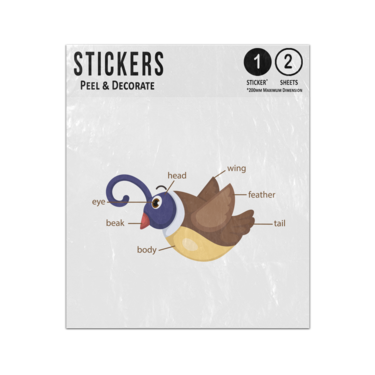 Picture of Bird Animal Anatomy Body Parts Cartoon Illustration Sticker Sheets Twin Pack