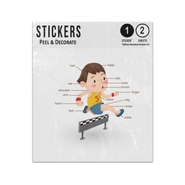 Picture of Boy Human Anatomy Body Parts Preschool Illustration Sticker Sheets Twin Pack