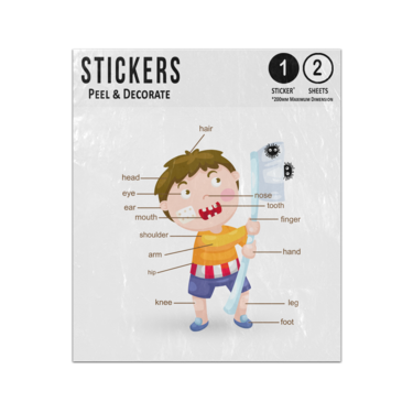 Picture of Boy With Brush Human Anatomy Body Parts Preschool Illustration Sticker Sheets Twin Pack