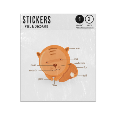 Picture of Cat Animal Anatomy Body Parts Preschool Illustration Sticker Sheets Twin Pack