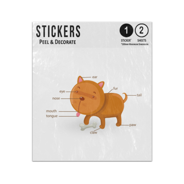 Picture of Dog Animal Anatomy Body Parts Preschool Illustration Sticker Sheets Twin Pack