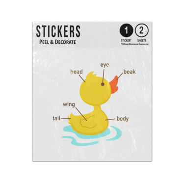 Picture of Duck Animal Anatomy Body Parts Preschool Illustration Sticker Sheets Twin Pack